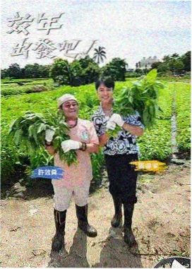 音浪来袭音乐综艺海报